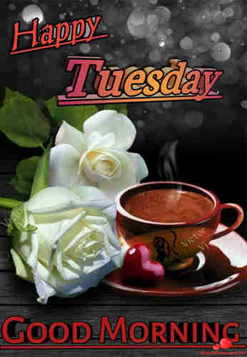 Good Morning Tuesday